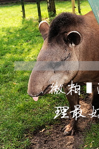 微粒貸逾期怎么處理最好(微粒貸逾期怎么處理最好)
