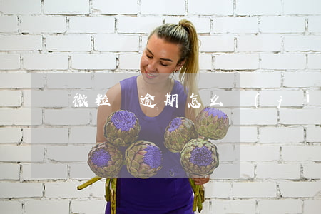 微粒貸逾期怎么計(jì)算利息