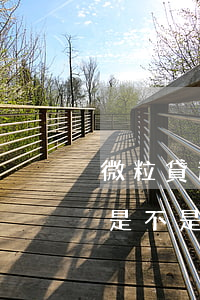 微粒貸逾期想還卻還不了(微粒貸逾期一年了是不是不需要還了?)
