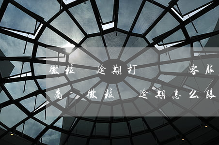 微粒貸逾期打電話給客服怎么協(xié)商-微粒貸逾期怎么跟客服溝通
