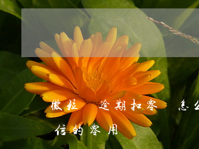 微粒貸逾期扣零錢怎么辦(微粒貸逾期會扣微信的零用錢嗎)