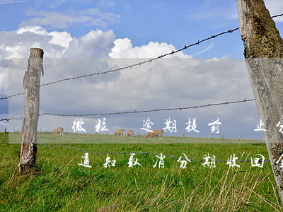 微粒貸逾期提前終止分期(微粒貸逾期7天就通知取消分期收回全款)