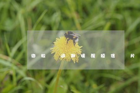 微粒貸逾期提醒短信圖片