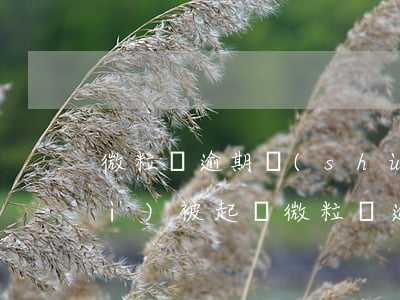 微粒貸逾期數(shù)額多大才會(huì)被起訴(微粒貸逾期多少錢會(huì)被起訴)