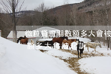 微粒貸逾期數額多大會被起訴（微粒貸逾期數額多大會被起訴）