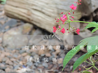 微粒貸逾期是在哪里起訴(微粒貸逾期會起訴到法院嗎)