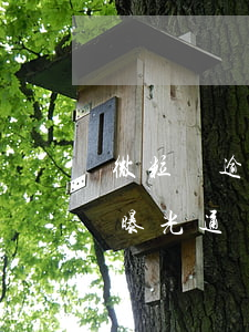 微粒貸逾期曝光通訊錄了怎么辦(微粒貸逾期曝光通訊錄了怎么辦)