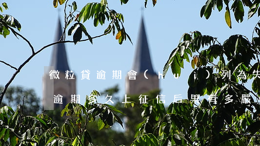 微粒貸逾期會(huì)列為失信嗎(微粒貸逾期多久上征信?后果有多嚴(yán)重?微粒貸被法院起訴)