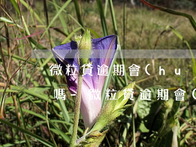 微粒貸逾期會(huì)劃扣支付寶的余額嗎-微粒貸逾期會(huì)劃扣支付寶的余額嗎安全嗎