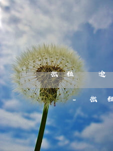 微粒貸逾期會(huì)影響微信正常使用嗎-微粒貸逾期會(huì)影響微信正常使用嗎安全嗎