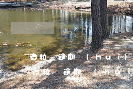 微粒貸逾期會(huì)微信通知好友嗎-微粒貸逾期會(huì)發(fā)短信給手機(jī)通訊錄好友嗎