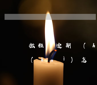 微粒貸逾期會(huì)怎樣(微粒貸逾期會(huì)怎樣二次分期)
