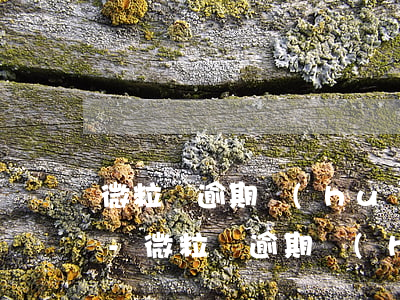 微粒貸逾期會(huì)扣支付寶上的錢嗎-微粒貸逾期會(huì)扣支付寶的錢么