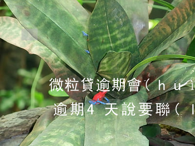 微粒貸逾期會(huì)找到單位嗎(微粒貸逾期4天說要聯(lián)系家人,單位核實(shí))