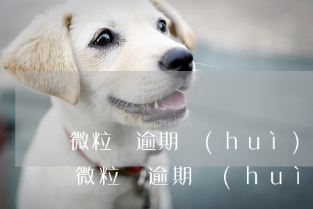 微粒貸逾期會(huì)推送給qq好友嗎(微粒貸逾期會(huì)通知微信好友嗎)