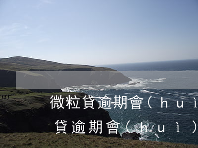 微粒貸逾期會(huì)爆微信朋友嗎(微粒貸逾期會(huì)爆微信朋友嗎)