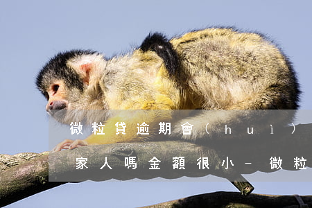 微粒貸逾期會(huì)聯(lián)系家人嗎金額很小-微粒貸逾期會(huì)聯(lián)系家人嗎金額很小怎么辦