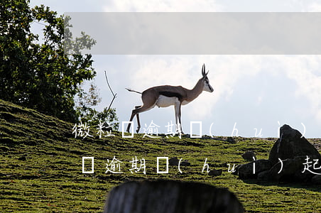 微粒貸逾期會(huì)被銀行起訴嗎(微粒貸逾期會(huì)起訴么)