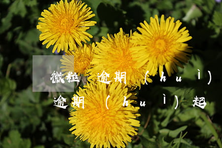 微粒貸逾期會(huì)通知家人嗎（微粒貸逾期會(huì)起訴父母嗎）