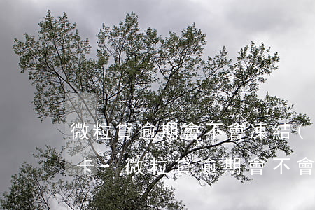 微粒貸逾期會不會凍結(jié)所有銀行卡-微粒貸逾期會不會凍結(jié)所有銀行卡賬戶