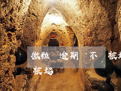 微粒貸逾期會不會被起訴(微粒貸逾期會不會被起訴?)