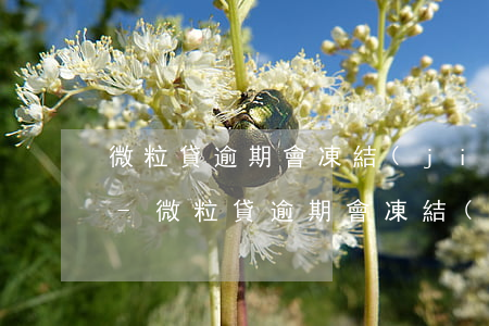 微粒貸逾期會凍結(jié)銀行卡賬號嗎?-微粒貸逾期會凍結(jié)銀行卡賬號嗎安全嗎