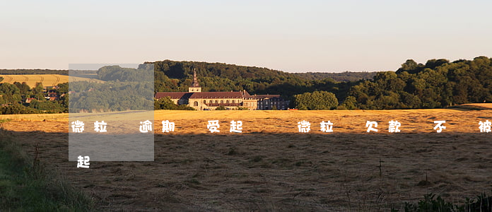 微粒貸逾期會受起訴嗎(微粒貸欠款會不會被起訴)