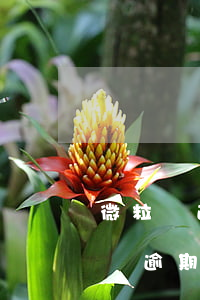 微粒貸逾期會在支付寶扣嗎-支付寶和微粒貸逾期沒還會涉及刑事責(zé)任嗎