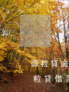 微粒貸逾期會影響借唄嗎(借唄逾期會影響微粒貸借款嗎)