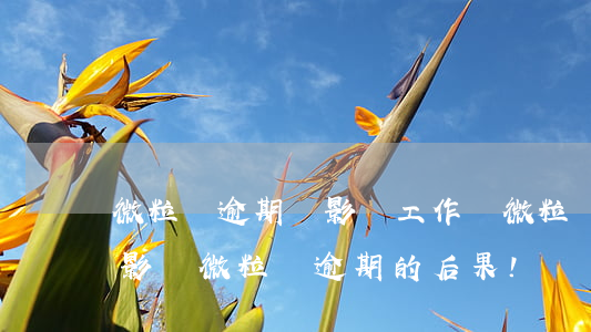 微粒貸逾期會影響工作嗎(微粒貸逾期有什么影響?微粒貸逾期的后果!)