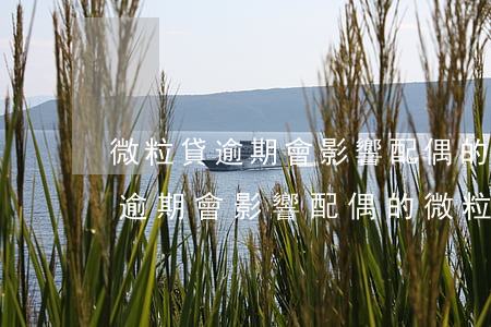 微粒貸逾期會影響配偶的微粒貸嗎-微粒貸逾期會影響配偶的微粒貸嗎安全嗎