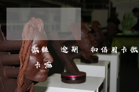 微粒貸逾期會扣信用卡(微粒貸逾期會扣信用卡嘛)