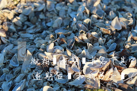 微粒貸逾期會扣名下其它微信錢嗎-微粒貸逾期后會扣我另一個(gè)微信號的錢嗎