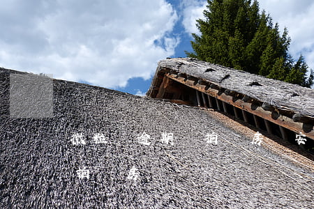 微粒貸逾期會拍賣房嗎安全嗎（微粒貸逾期會拍賣房嗎）