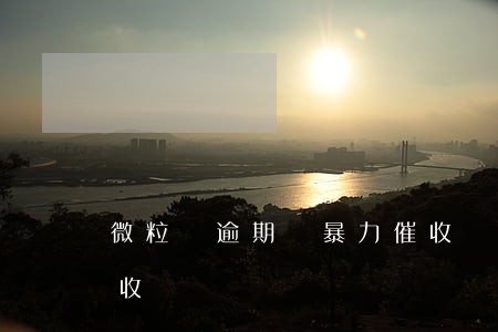 微粒貸逾期會暴力催收嗎(微粒貸欠錢會有催收嗎)