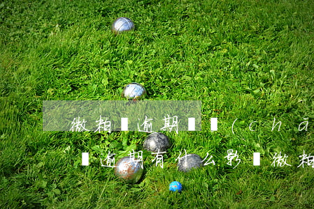 微粒貸逾期會產(chǎn)生利息嗎(微粒貸逾期有什么影響?微粒貸逾期的后果!)