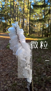 微粒貸逾期會聯(lián)系上班的單位嗎-微粒貸逾期會給工作單位打電話嗎