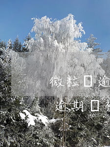微粒貸逾期會被其他銀行卡綁定嗎-微粒貸逾期會被其他銀行卡綁定嗎安全嗎