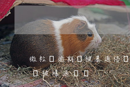 微粒貸逾期會被暴通信錄嗎(微粒貸逾期多久會被爆通訊錄)