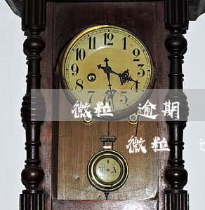 微粒貸逾期會被起訴和強制執(zhí)行嗎-微粒貸逾期會報警嗎