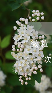 微粒貸逾期會要求還清嗎(微粒貸逾期會要求一次性還清欠款嗎?)