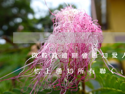 微粒貸逾期會通知愛人嗎(微粒貸逾期會在微信上通知所有聯(lián)系人么)