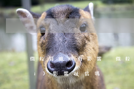 微粒貸逾期有影響沒(微粒貸逾期了會(huì)影響征信嗎)