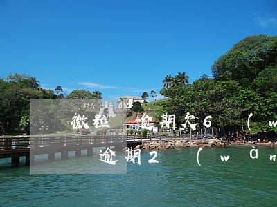 微粒貸逾期欠6萬(wàn)的判幾年(微粒貸逾期2萬(wàn)會(huì)起訴嗎)