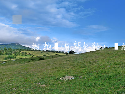 微粒貸逾期欠款2萬(微粒貸逾期欠款2萬)