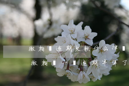 微粒貸逾期欠款什么律師函寄我家里去了(欠微粒貸一萬逾期半年了,發(fā)律師函了怎么辦)