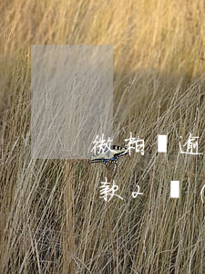 微粒貸逾期欠款兩萬(wàn)多(微粒貸欠款2萬(wàn)4逾期會(huì)被起訴嗎)