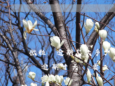 微粒貸逾期欠款多少會(huì)上門(微粒貸逾期十天,說要上門結(jié)清所有欠款)
