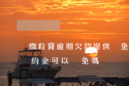 微粒貸逾期欠款提供減免材料(微粒貸逾期違約金可以減免嗎)