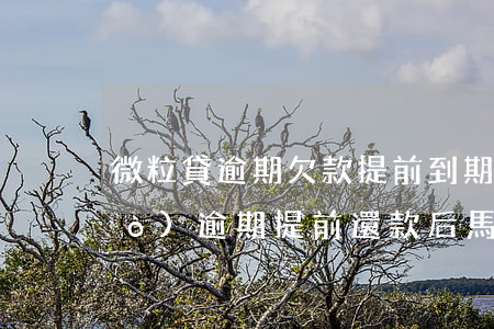 微粒貸逾期欠款提前到期(微粒貸有過(guò)逾期提前還款后馬上能借么)